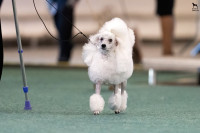 /album/mvp-bratislava-2025/mvp-bratislava-20251025-jutta-003-jpg1/